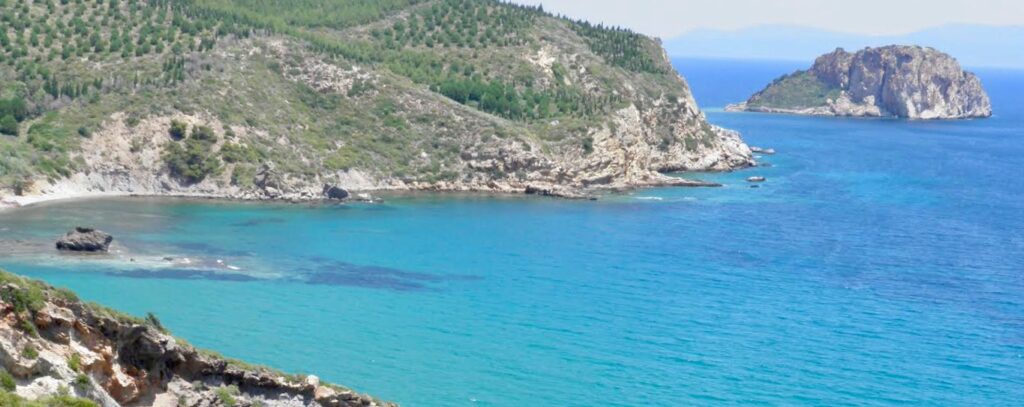 width=720, height=260